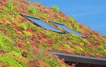 Kington St Michael living roof systems