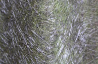 Kington St Michael fibreglass roof work